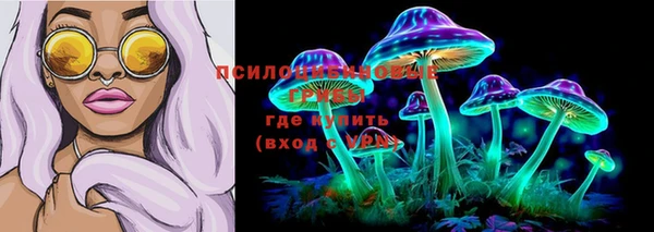 таблы Белокуриха