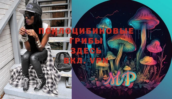 таблы Белокуриха