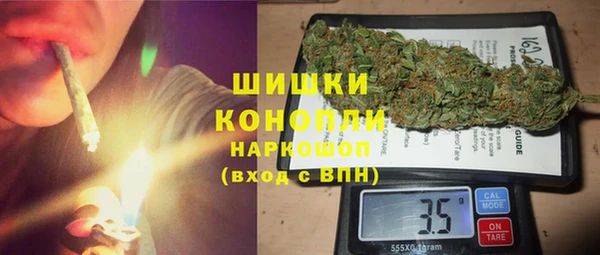 шишки Белоозёрский