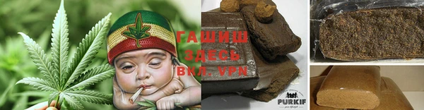 шишки Белоозёрский
