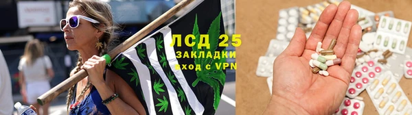 шишки Белоозёрский