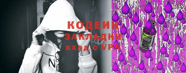 шишки Белоозёрский