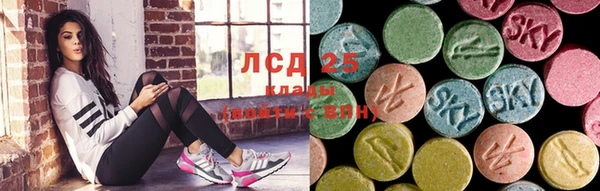 шишки Белоозёрский