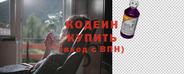 шишки Белоозёрский