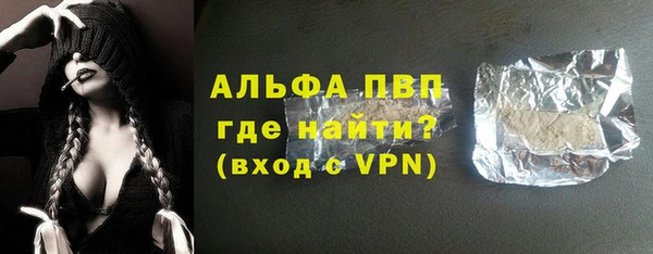 шишки Белоозёрский