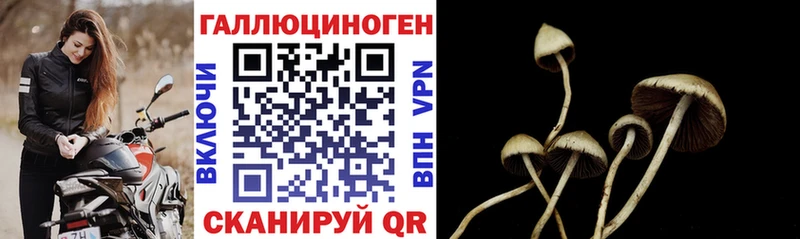 Псилоцибиновые грибы мицелий  Городец 