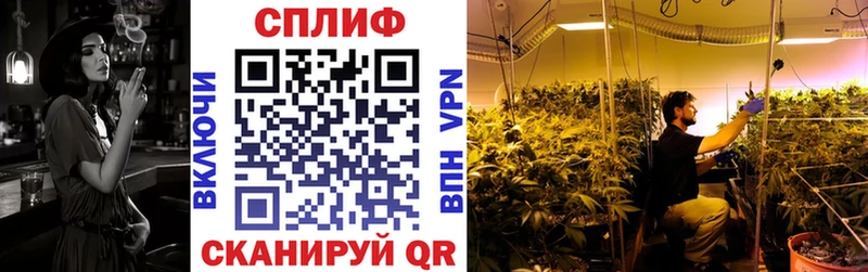 Марихуана Bruce Banner  где купить наркоту  Городец 